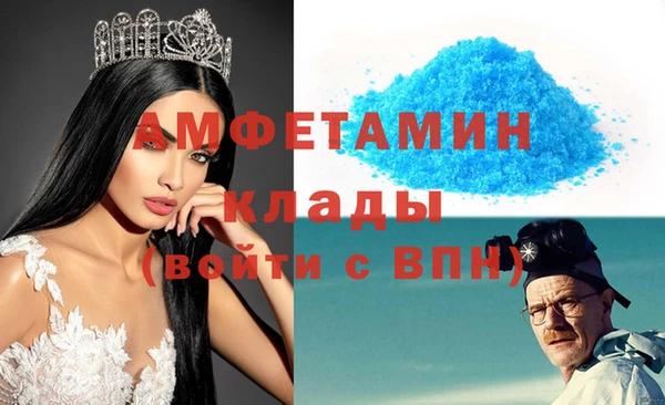 индика Аркадак