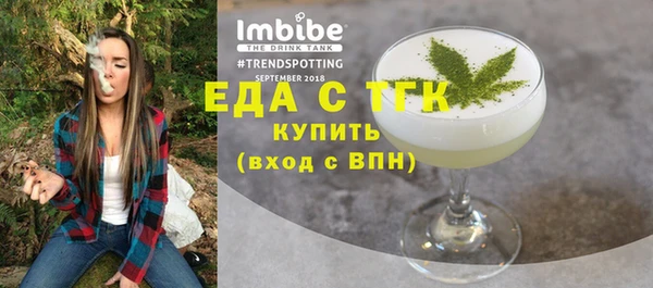 индика Аркадак