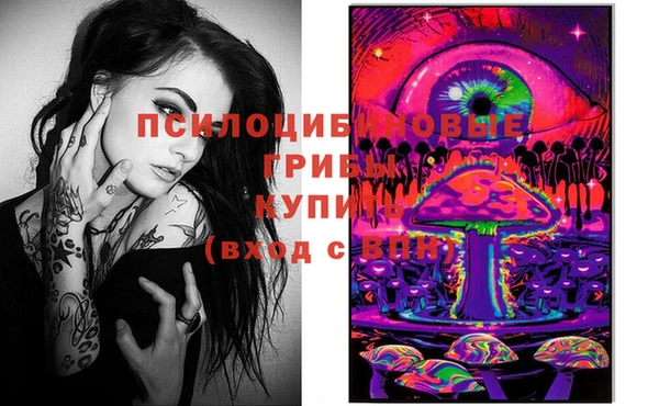 прущая мука Арсеньев