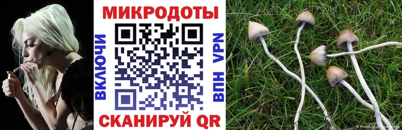 Галлюциногенные грибы мухоморы  наркотики  Тайшет 
